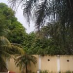 7c960717-dfd8-4733-a173-f80559b2ee25