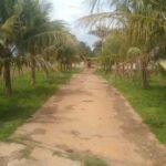 bfd5468d-d640-4fe6-97f7-d08da7e17ec6